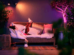 image-a34183ee6bd043b897fb466a02bb7389