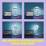 image-e4cfa4be3aad4805bfbb2d663cc29239