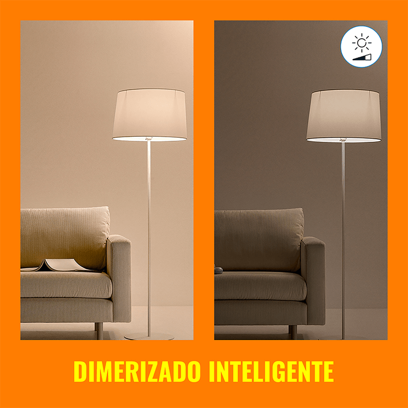 image-cfeed335e7dc41f991866e6981f629c0