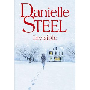 INVISIBLE - STEEL, DANIELLE