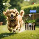 image-ff123e10f4e34142a726fbcf8776052a