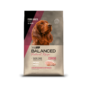 Vital Can Natural Recipe Cerdo