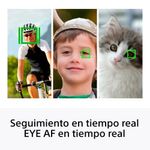 image-2a9cf9c60f9b415e8e64ed0428c86008