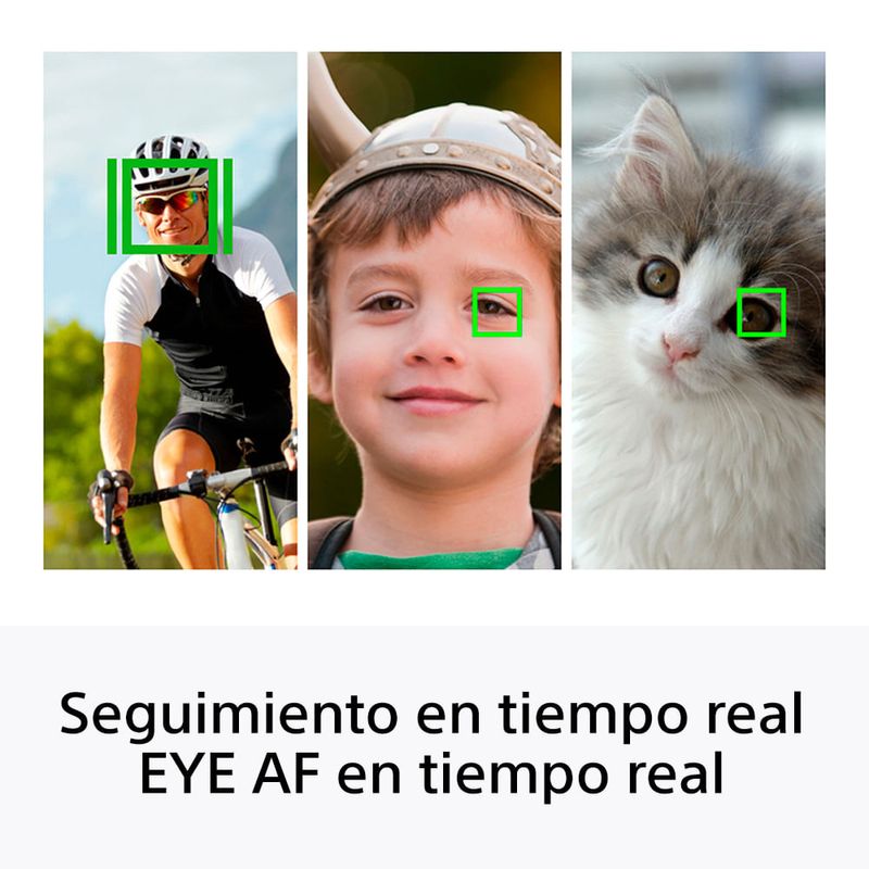 image-f6f73c76926e403abbb7625a3a60c6e1