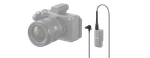 image-862282dac857421eaeea1ee07cb0cf64