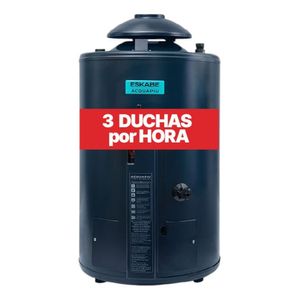Termotanque a Gas Eskabe 40 Lt H-360 Hybrid4 Conexión Superior