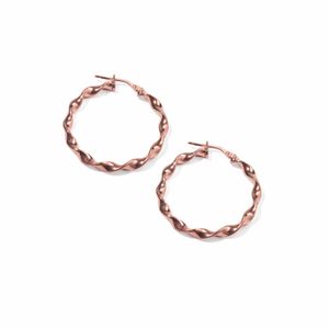Aros Carmin Verano de Plata 925 Con Baño Rosé