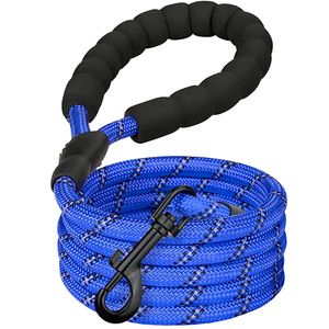 Correa Para Perro Azul Gadnic Resistente 1.5 mts