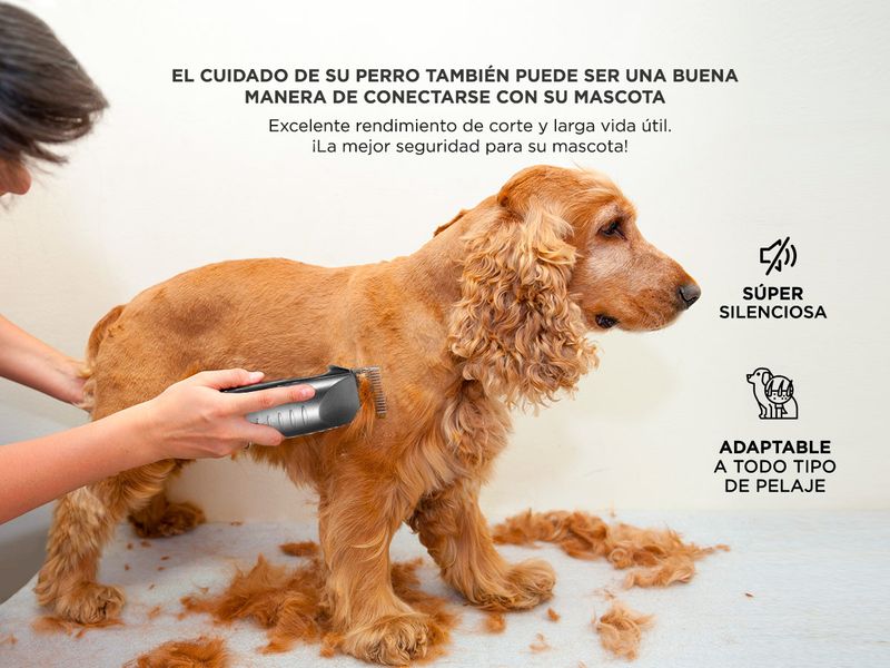 image-67d1ff7526e3434686abdce582d5ce05