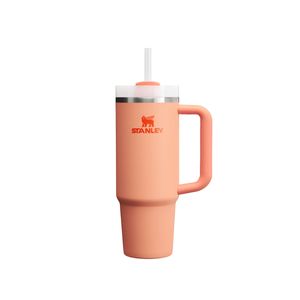 Vaso termico STANLEY QUENCHER 887ml MANTIENE FRIO CALOR