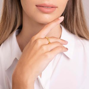 Anillo Carmín Cadena de Plata 925 con Baño Dorado