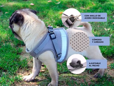 image-f07863f7ca3e40fd8e54fab0c29e6f06