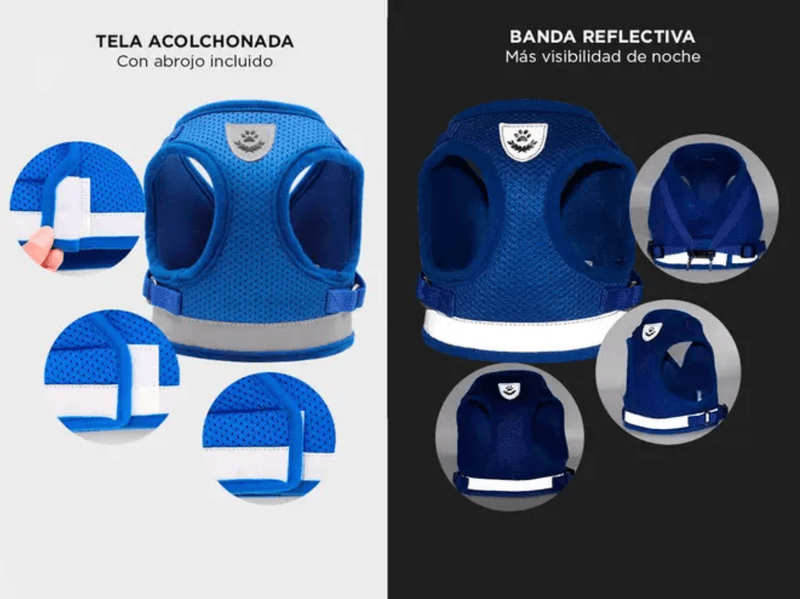 image-5d8e37cfc39d4c4d9a8b72743028c20d