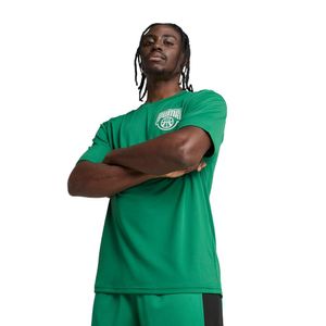 Remera Hombre Puma Posterize Ii