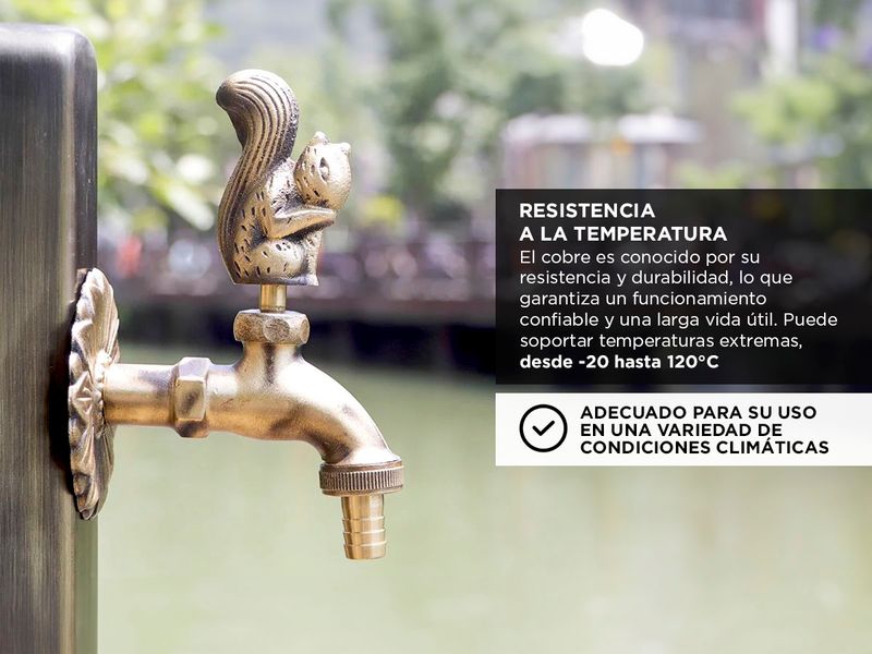 image-7a49acea2dea4049a7fedeecac542526