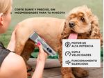 image-b737340d30fe4b8b993774a155c7698c
