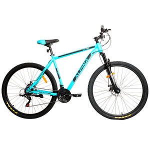 Bicicleta MTB Alpina 2.0 R29 21V Acero Shimano Az/Ne