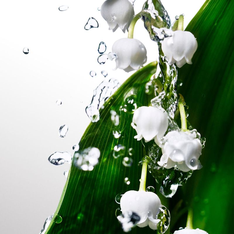 image-914ded8c1f464971a645a6e1a4562768
