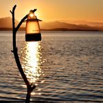 image-f4fa86753a6e4140a79084e7a2bd65cf