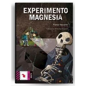 EXPERIMENTO MAGNESIA - VACCARINI, FRANCO