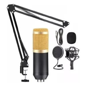 Micrófono Condensador Omnidireccional Con Brazo Ajustable Antipop Waggs