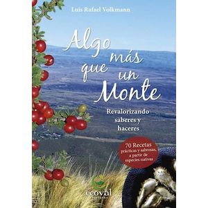 ALGO MAS QUE UN MONTE - VOLKMANN, LUIS RAFAEL