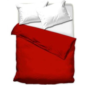 Frazada Edredon Corderito King Size Pierre Cardin Lisos