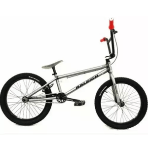Bicicleta Raleigh Jump Rodado 20