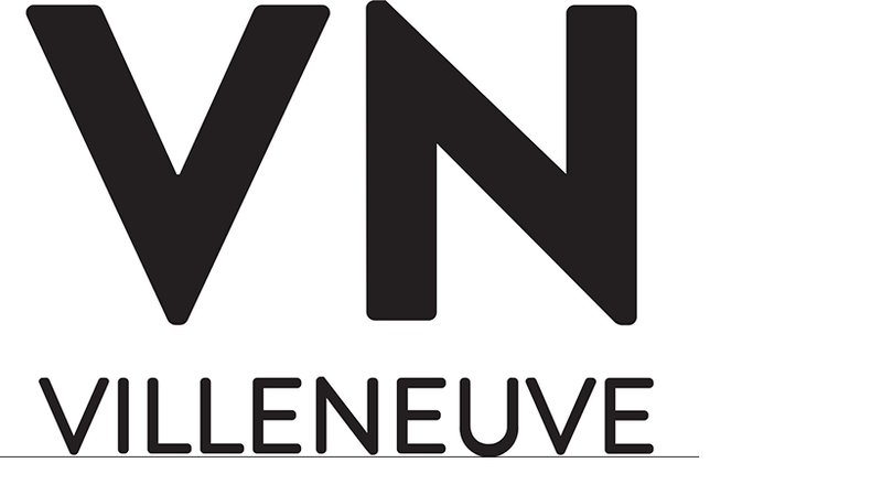LOGO VN.png