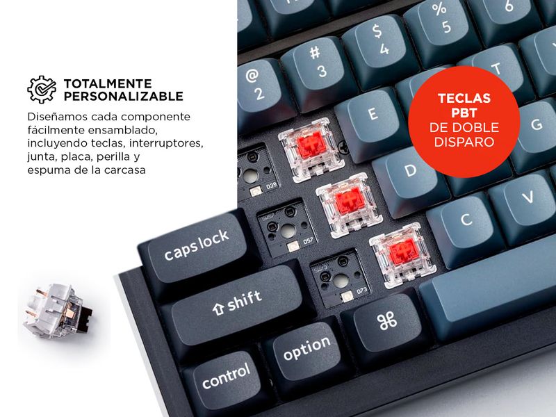 image-10c96aeeab8a4350af0d5cb33d29fc14