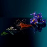 image-d8b33f5e601e4ef194295b8f67ebc7de