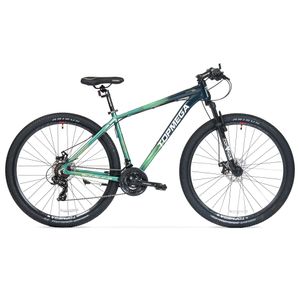 Bicicleta TopMega MTB Sunshine R29 21VEL Verde
