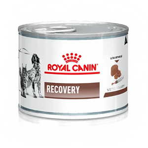 Royal Canin Lata Recovery 195g