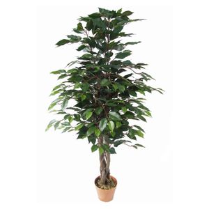 Planta artificial Ficus 126 cm Just Home Collection