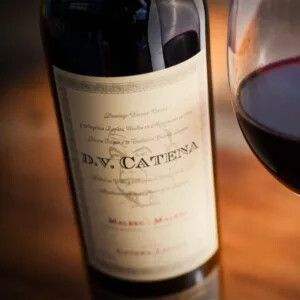 Vino DV Catena Malbec-malbec 750ml