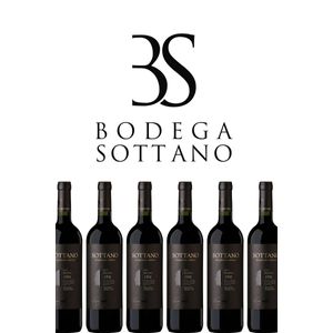 Vino Reserva De Familia Sottano Malbec 6x750ml - Mendoza Argentina