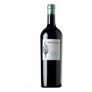 Vino Yacochuya Magnum 2021 1,5Lts