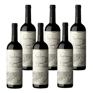 Vino Saint Felicien Cabernet Franc 6x750 ml