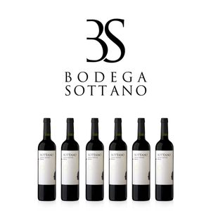 Vino Clásico Sottano Merlot 6x750ml - Mendoza Argentina