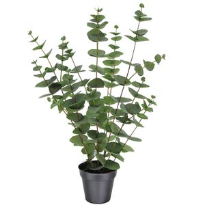Planta artificial Eucaliptus 59 cm Just Home Collection