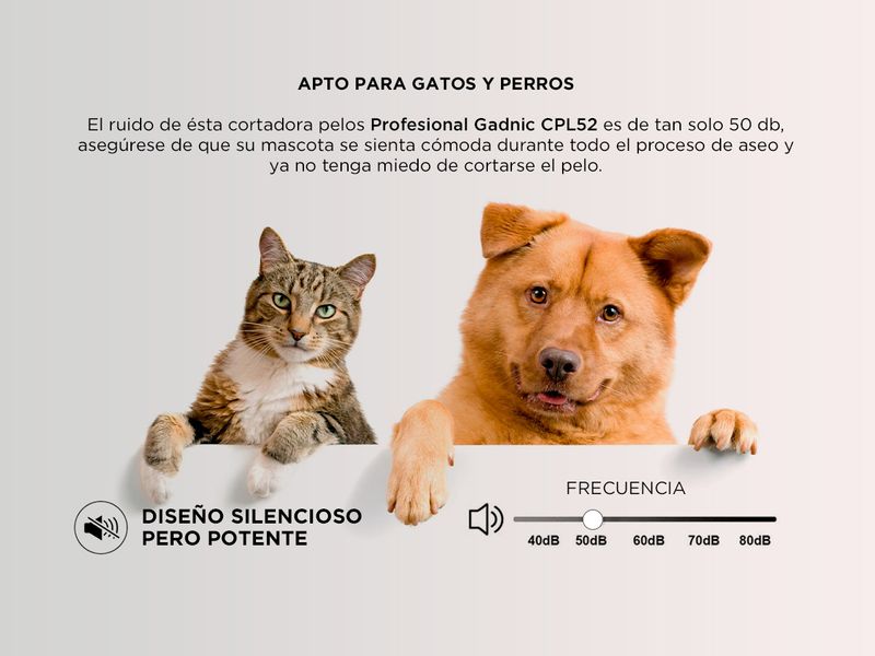 image-da65629fb4c645e9b87b750f449346bb