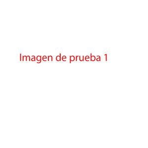 Producto de prueba