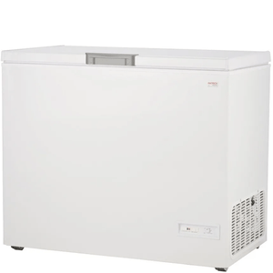 FREEZER PATRICK 300L BLANCO FHP300B