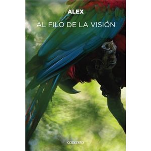 AL FILO DE LA VISION - ZANI, ALEJANDRA