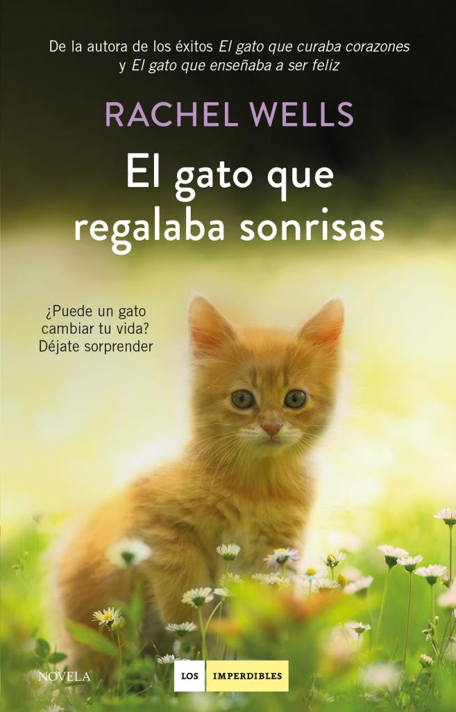image-dad58c2121824316857759213430ffb0