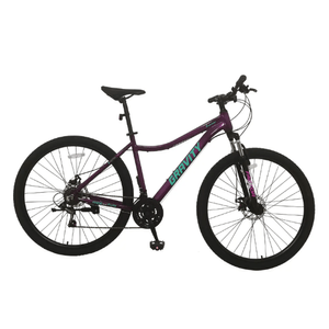 Bicicleta Gravity R29 Aluminio Dabomb