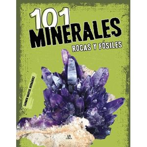 101 MINERALES ROCAS Y FOSILES - Hernandez, Carmen Martul