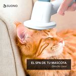 image-2b73a83a8de24eb9a06470fb8c6918fa