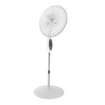 image-95ad2430145744faba3a99eb433059b0