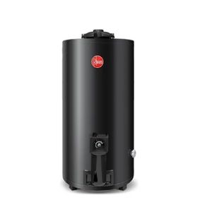 Termotanque Rheem TGNP080RH 80 LTS GN De pie Gris